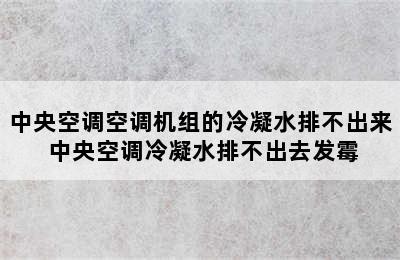 中央空调空调机组的冷凝水排不出来 中央空调冷凝水排不出去发霉